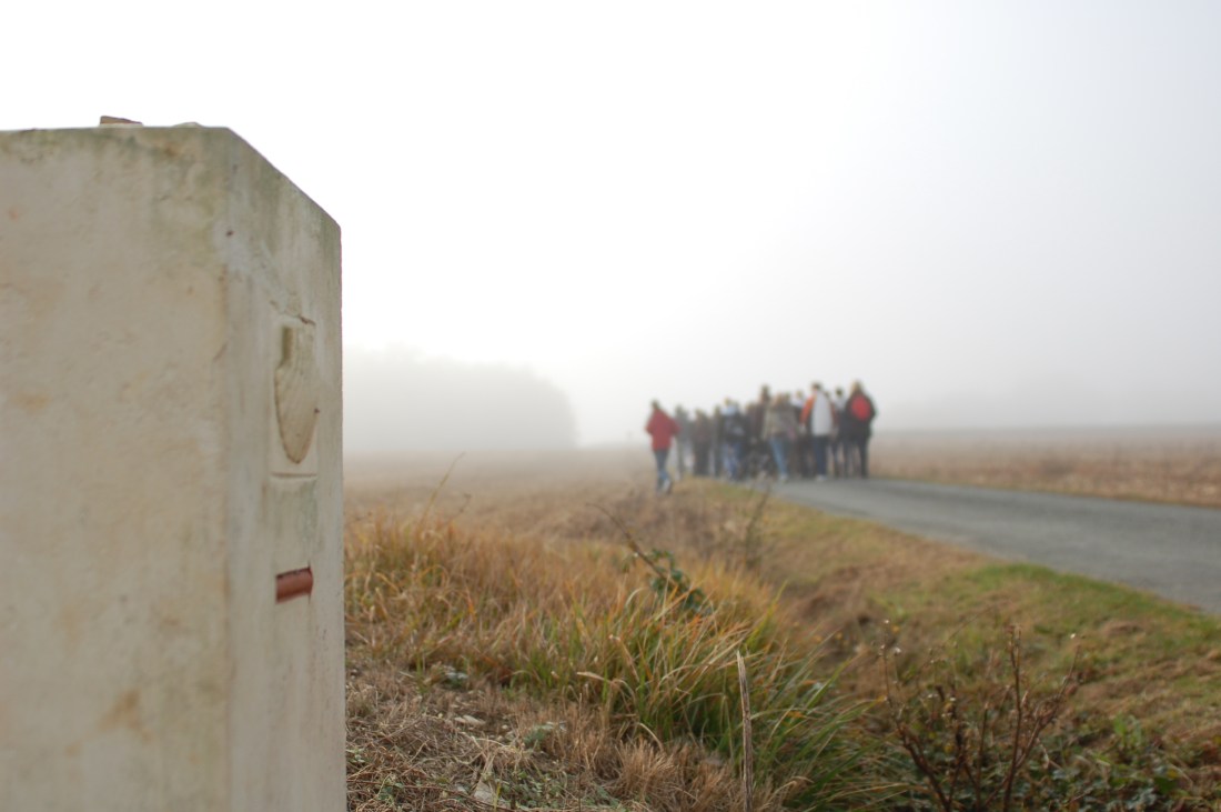Sur les routes de Saintonge