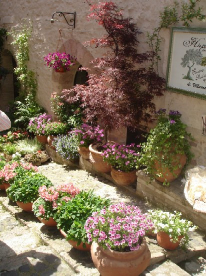 1dcb5-dsc06904.1220306332