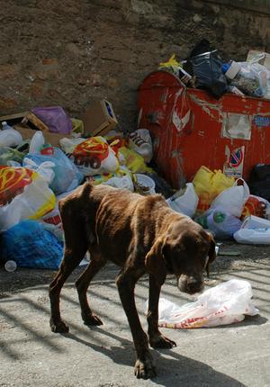 ITALY-WASTE-CRISIS