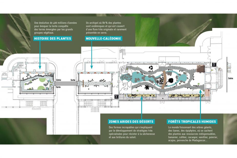 plan_grandes_serres_c_mnhn_1