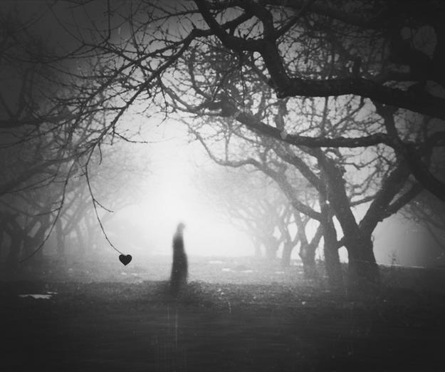 564596_10151241675348185_586430902_n